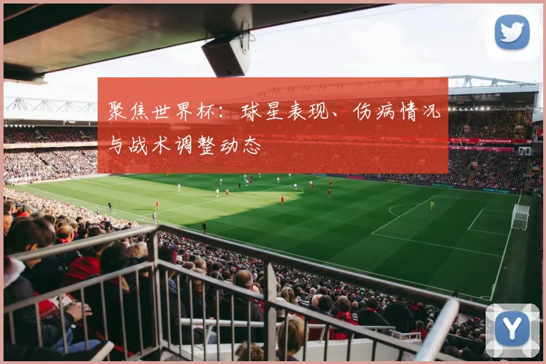 聚焦世界杯：球星表现、伤病情况与战术调整动态